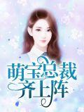 总裁宠妻来袭免费阅读