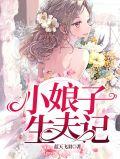 小娘子生夫记 蓝天飞羽