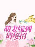 萌妻嫁到请关照