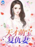 天才萌宝老婆请复婚