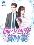 顾少独宠冒牌妻全文阅读