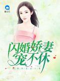 闪婚娇妻宠不休全文阅读