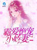 霸宠小小妻