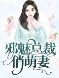 邪魅总裁的萌宠by