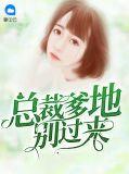 总裁爹地别玩火全文免费