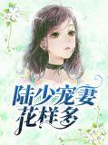 陆少宠妻有点甜最新章节