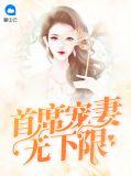 首席宠妻太甜蜜全文阅读
