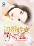 闪婚娇妻不好惹完整版短剧免费81