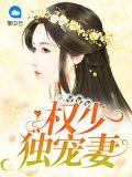 权少的独宠宝贝