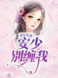 安少宠甜妻