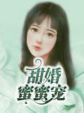 甜婚蜜契免费阅读