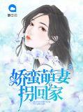 萌妻拐回家免费
