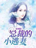 总裁一宠成瘾全文免费阅读