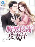 腹黑总裁攻妻不备