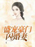 豪门闪婚之盛世宠婚