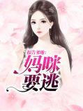 报告爹地妈咪要逃婚