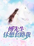 傅先生休想染指我