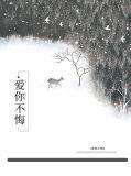 爱你不悔的模样是什么歌