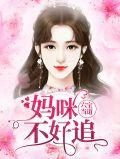六宝妈咪强势宠免费阅读