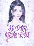 苏宝宝顾少蜜宠小甜妻苏宝宝