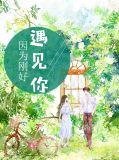因为刚好遇见你歌曲