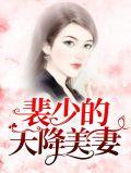 裴少宠妻上天