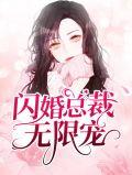 闪婚总裁宠妻无限