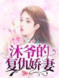 沐爷夫人是世界首富