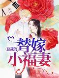 总裁的替嫁小福妻全文阅读
