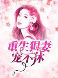 重生狠毒妃