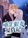 重生之狠妻心计