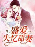 盛爱失忆甜妻免费阅读