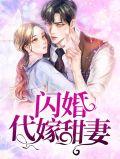 闪婚的代价百度百科