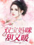双宝征婚妈咪很甜