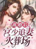 宫少追妻套路深全文免费阅读