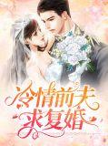 冷情前夫追妻招数无限
