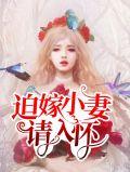 迫嫁讲什么