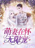 萌妻在怀无限宠全文阅读