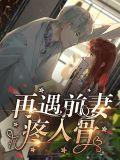 再遇前夫情入骨