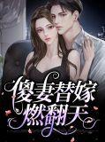 替嫁傻妻的日常生活