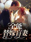 全能替嫁盲妻全文阅读