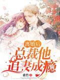 离婚后总裁追妻火葬场