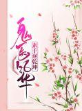 素手鬼医免费阅读