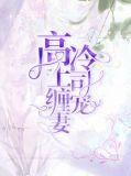 高冷上司宠妻狂魔免费