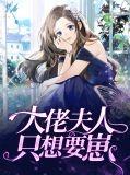 大佬夫人a