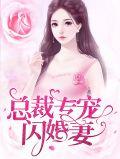 闪婚成爱总裁宠妻至上