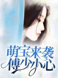 萌宝来袭傅先生