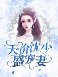 沈少的天价丑妻免费宁墨