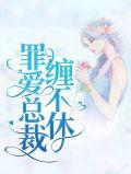 总裁缠爱不休夜墨琛