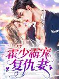 霍少霸宠复仇妻全文免费
